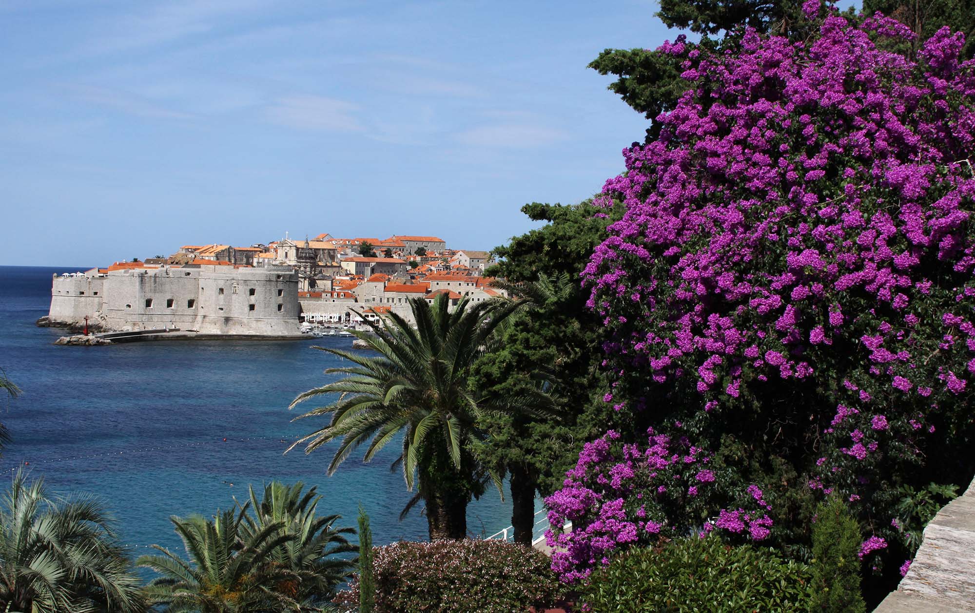 Dubrovnik Wall