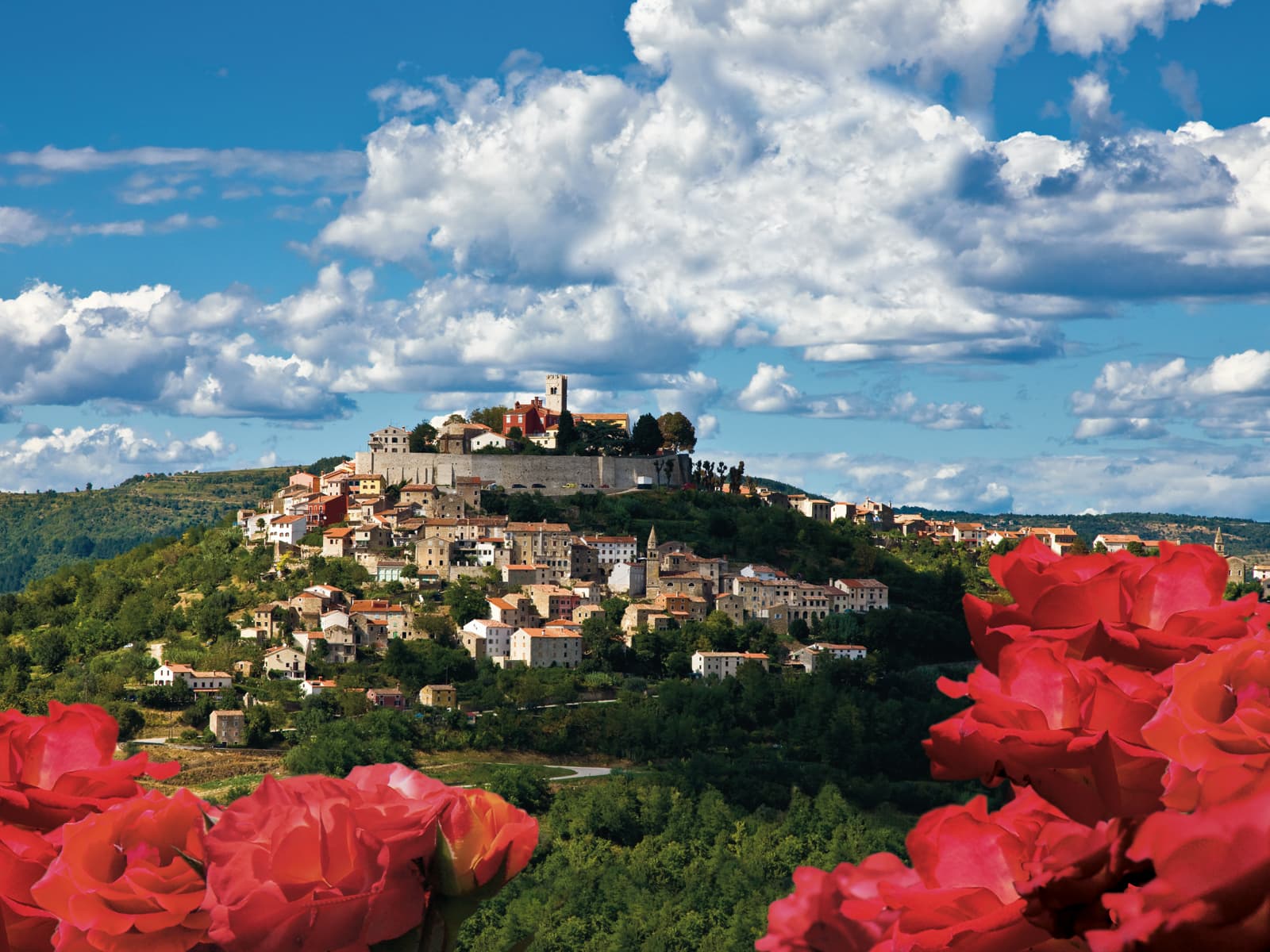 Motovun Istria Croatia